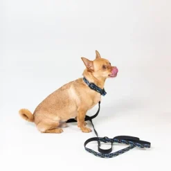 DC Batman hundesnor