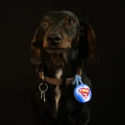 DC Superman halsbåndslys