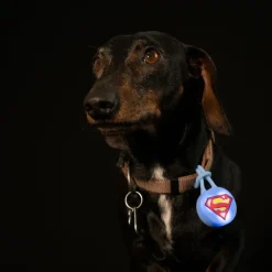 DC Superman halsbåndslys