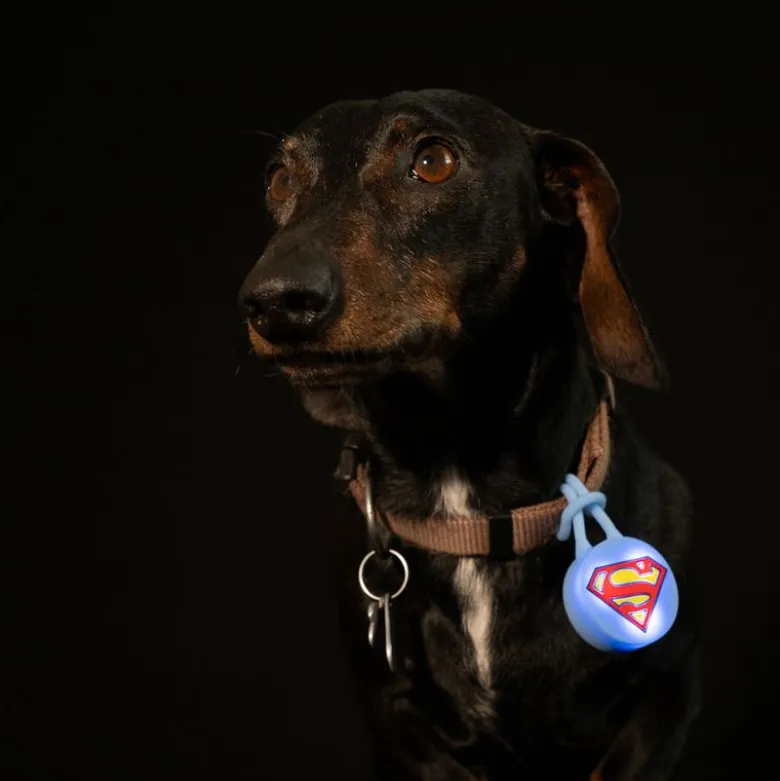 DC Superman halsbåndslys