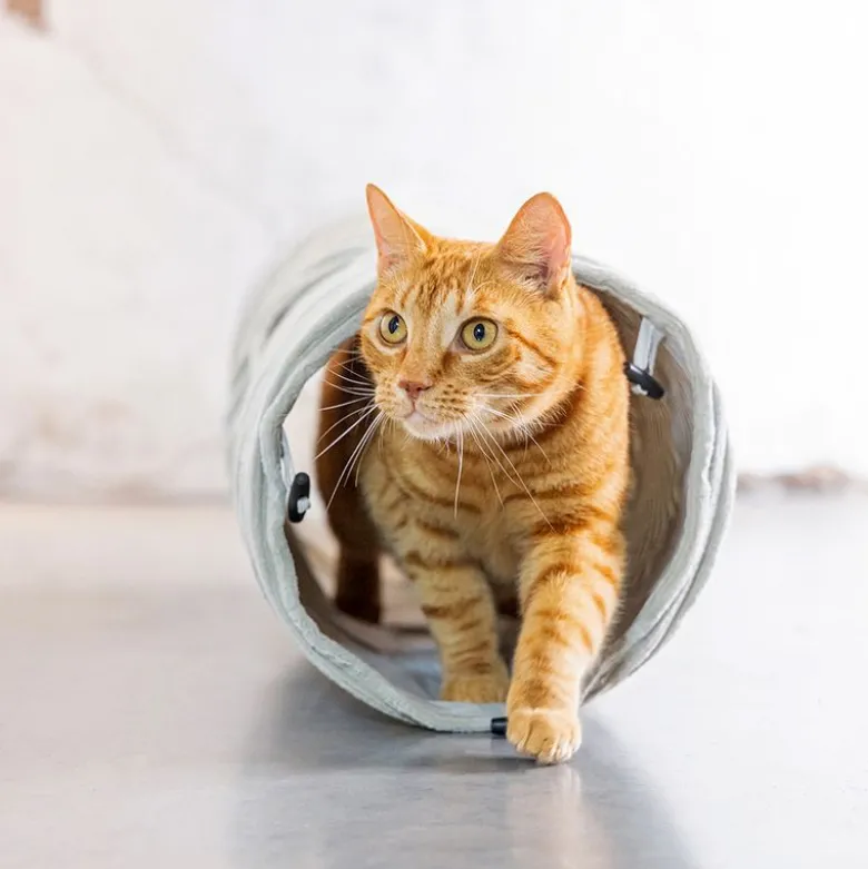 Designet af Lotte Cat Tunnel Ribbet