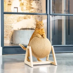 Designet af Lotte kradsebold med fod Xem