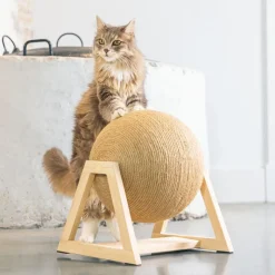 Designet af Lotte kradsebold med fod Xem