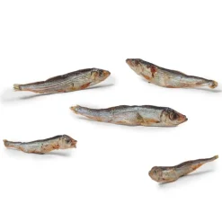 Dibo Tørfisk