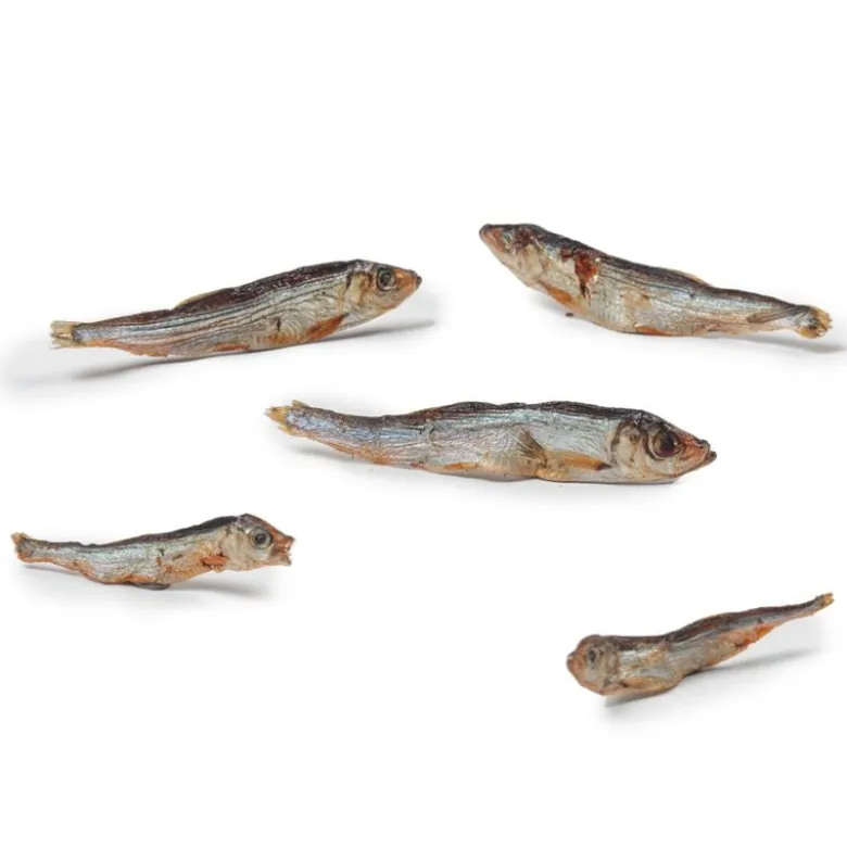 Dibo Tørfisk