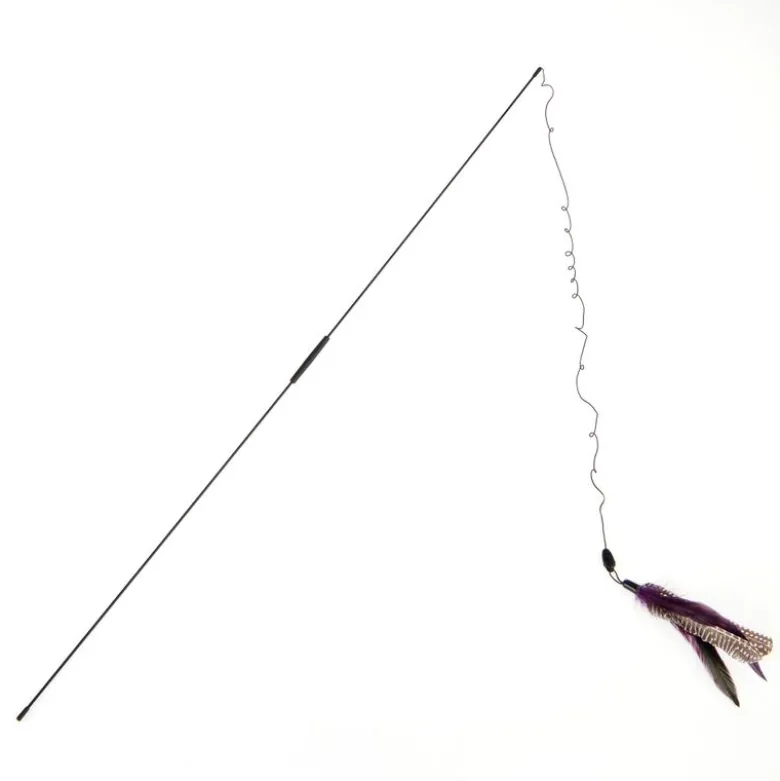 Drillepind Bird
