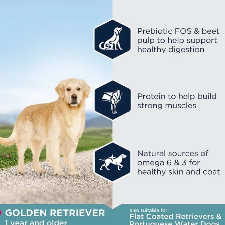 Eukanuba Adult Breed Specific Golden Retriever
