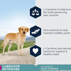 Eukanuba Adult Breed Specific Labrador Retriever