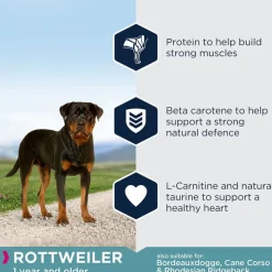 Eukanuba Adult Breed Specific Rottweiler