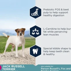 Eukanuba Adult Breed Specific Jack Russell Terrier