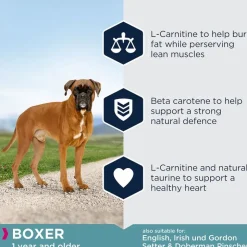 Eukanuba Adult Breed Specific Boxer