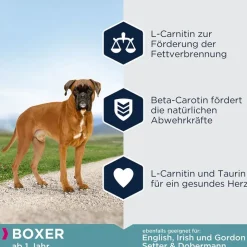 Eukanuba Adult Breed Specific Boxer