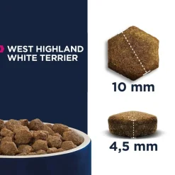 Eukanuba Adult Breed Specific West Highland White Terrier