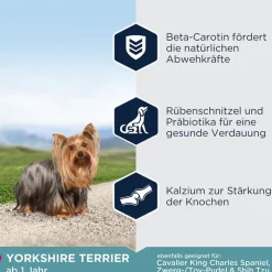 Eukanuba Adult Breed Specific Yorkshire Terrier