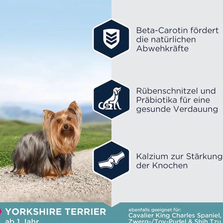 Eukanuba Adult Breed Specific Yorkshire Terrier