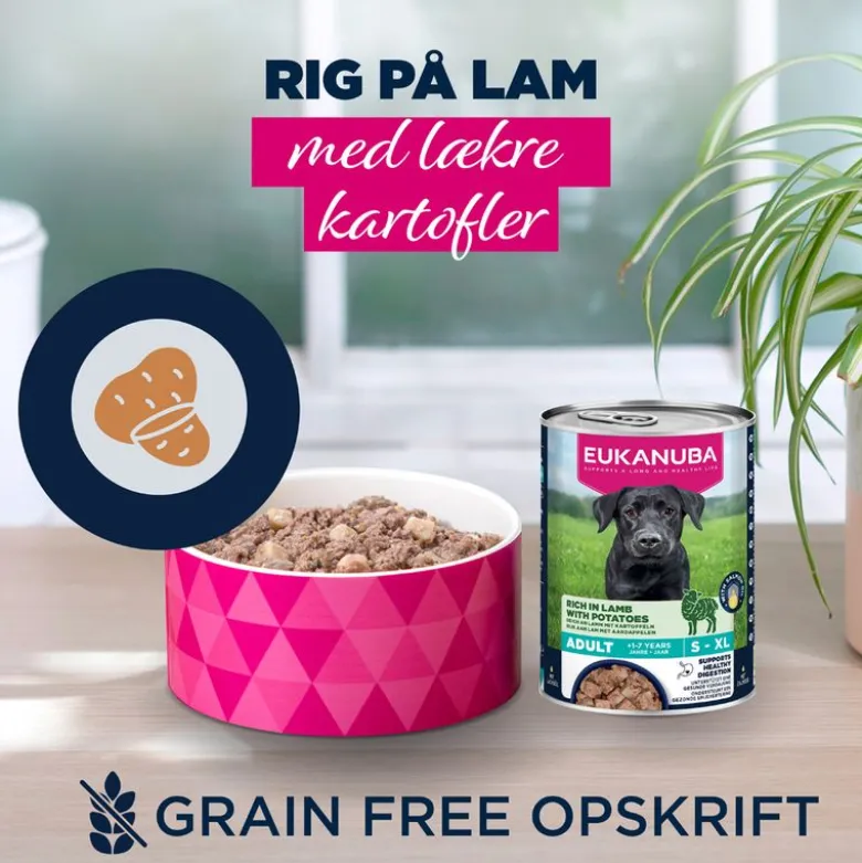 Eukanuba Adult Rig på lam og kartofler
