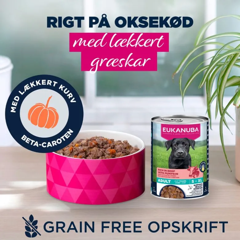 Eukanuba Adult Rig på okse med græskar