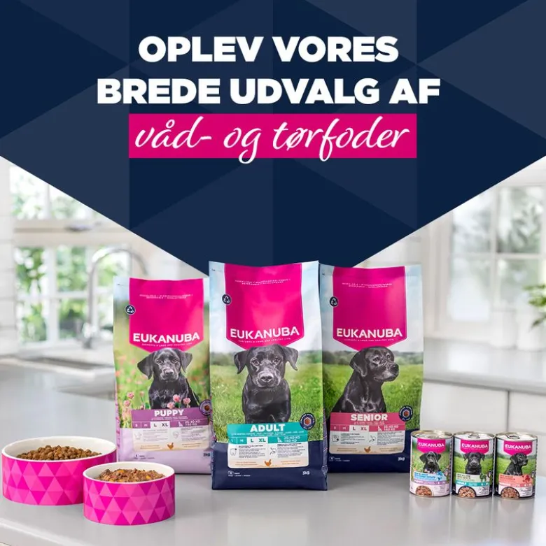 Eukanuba Adult Rig på okse med græskar