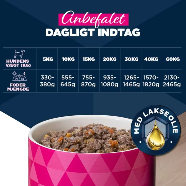Eukanuba Adult Rig på okse med græskar