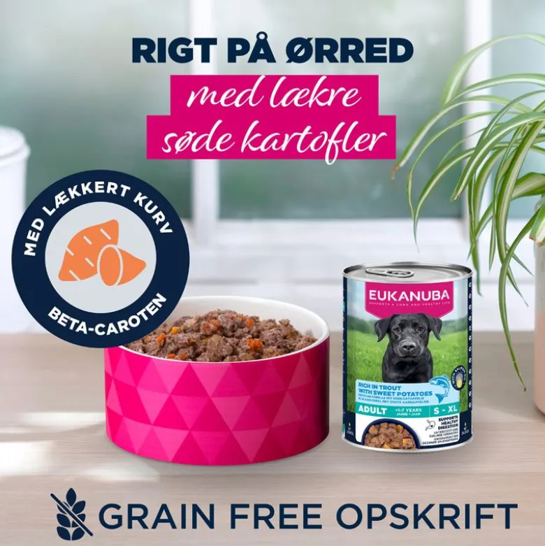 Eukanuba Adult Rig på ørred med søde kartofler
