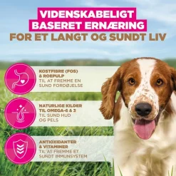Eukanuba Grain Free Adult Small & Medium med havfisk