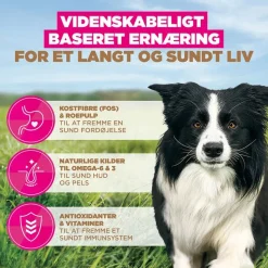 Eukanuba Grain Free Adult Small & Medium med kylling