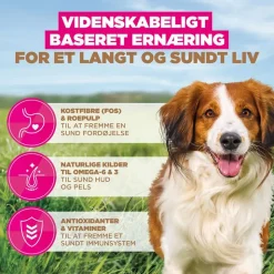 Eukanuba Grain Free Adult Small & Medium Lam
