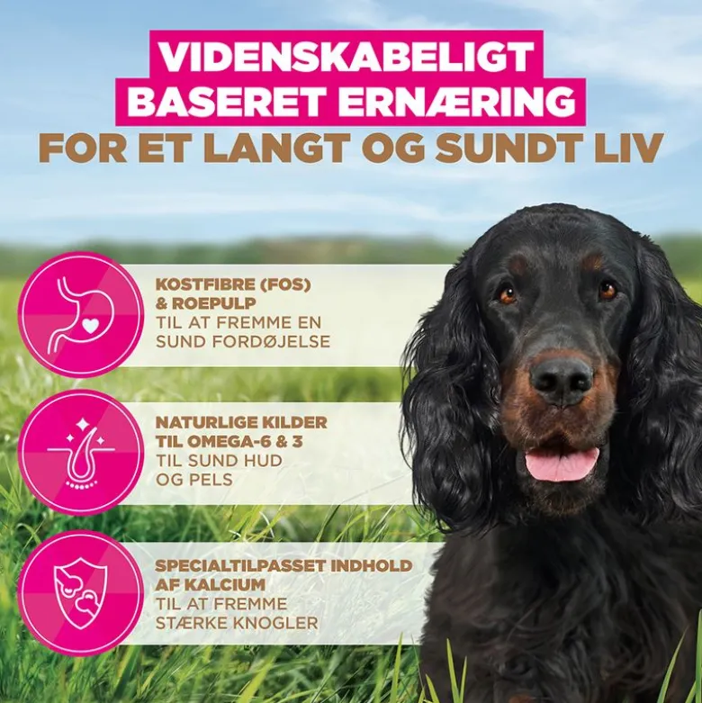Eukanuba Grain Free Adult Wild