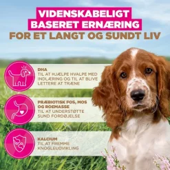 Eukanuba Grain Free Puppy Small & Medium Breed Havfisk