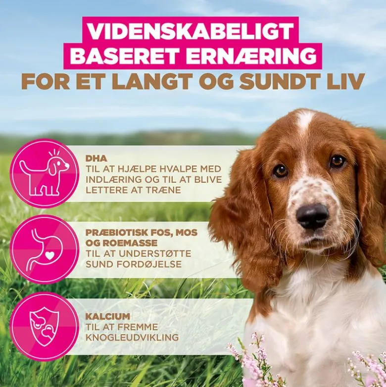 Eukanuba Grain Free Puppy Small & Medium Breed Havfisk
