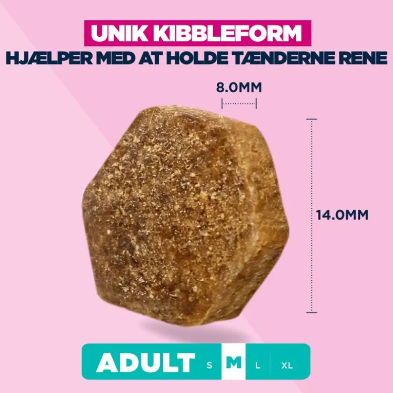Eukanuba Premium Nutrition Adult Medium Breed Kylling