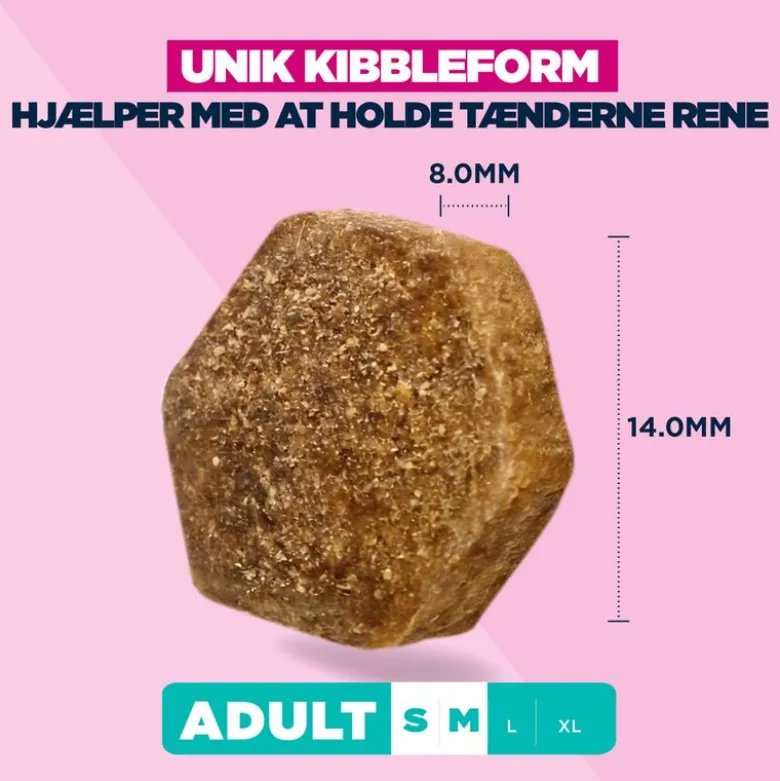 Eukanuba Premium Nutrition Adult Small & Medium Breed Lam & Ris