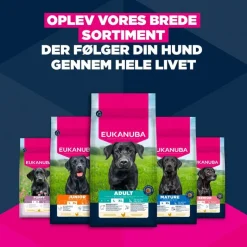 Eukanuba Premium Nutrition Adult Large & Giant Breed Kylling