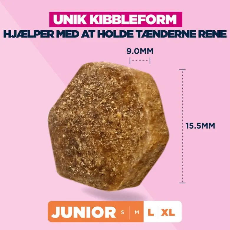 Eukanuba Premium Nutrition Junior Large & Giant Breed Kylling