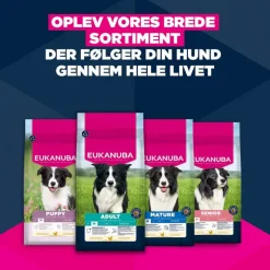 Eukanuba Premium Nutrition Mature Medium Breed Kylling