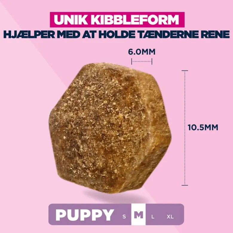 Eukanuba Premium Nutrition Puppy Medium Breed Kylling