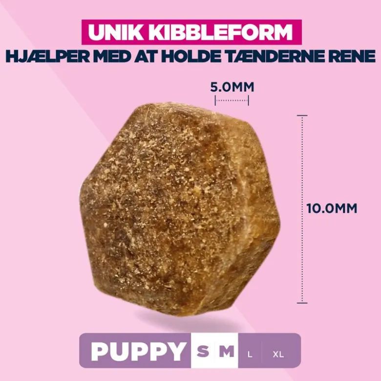 Eukanuba Premium Nutrition Puppy Small & Medium Breed Lamb & Rice