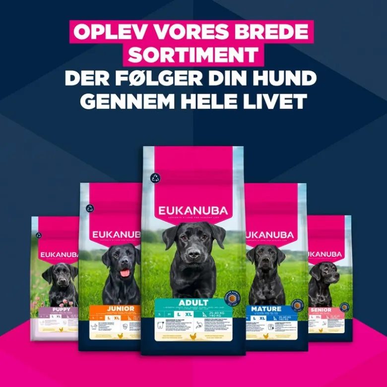 Eukanuba Premium Nutrition Senior Large & Giant Breed Kylling