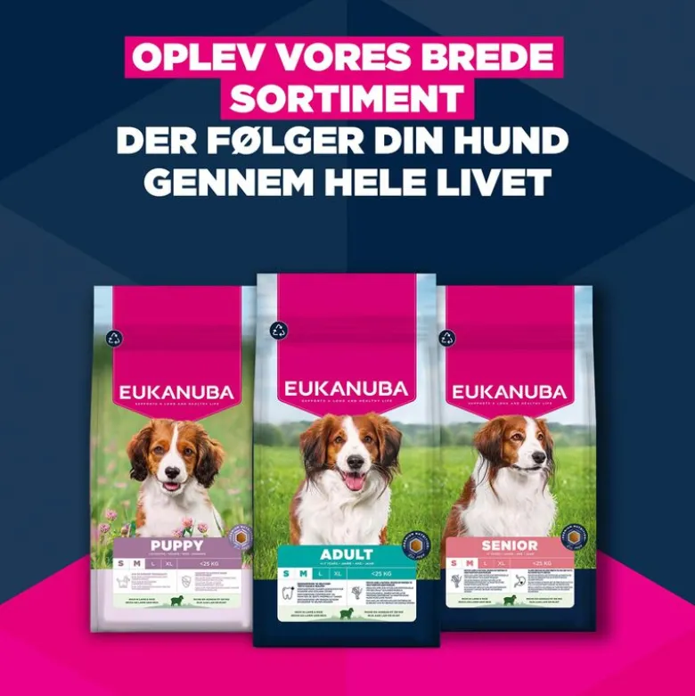 Eukanuba Premium Nutrition Senior Small & Medium Breed Lam & Ris