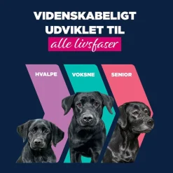 Eukanuba Puppy Rig på Lam med kartofler