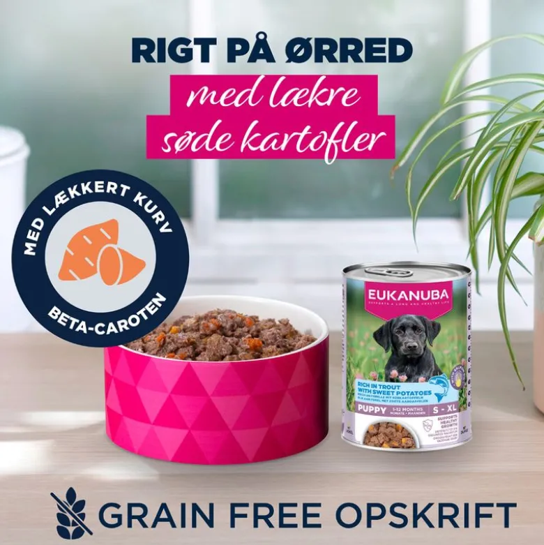 Eukanuba Puppy Rig på ørred med sød kartoffel
