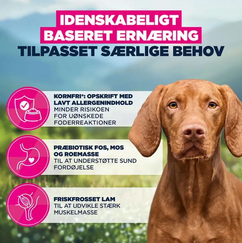 Eukanuba Special Care Mono-Protein Adult Lam