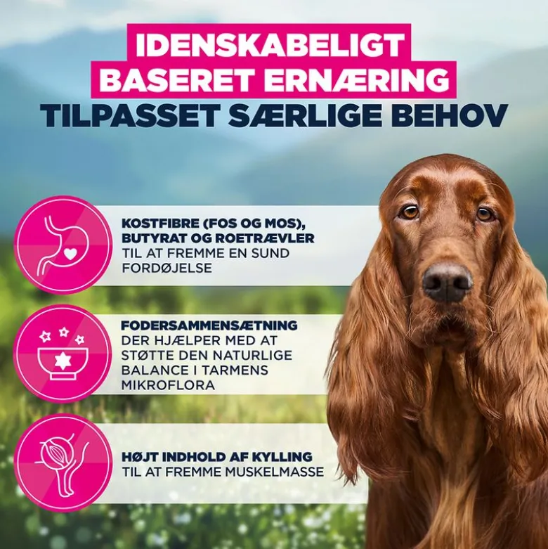 Eukanuba Special Care Sensitive Digestion Adult