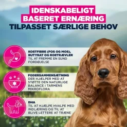 Eukanuba Special Care Sensitive Digestion Puppy med kylling og kalkun