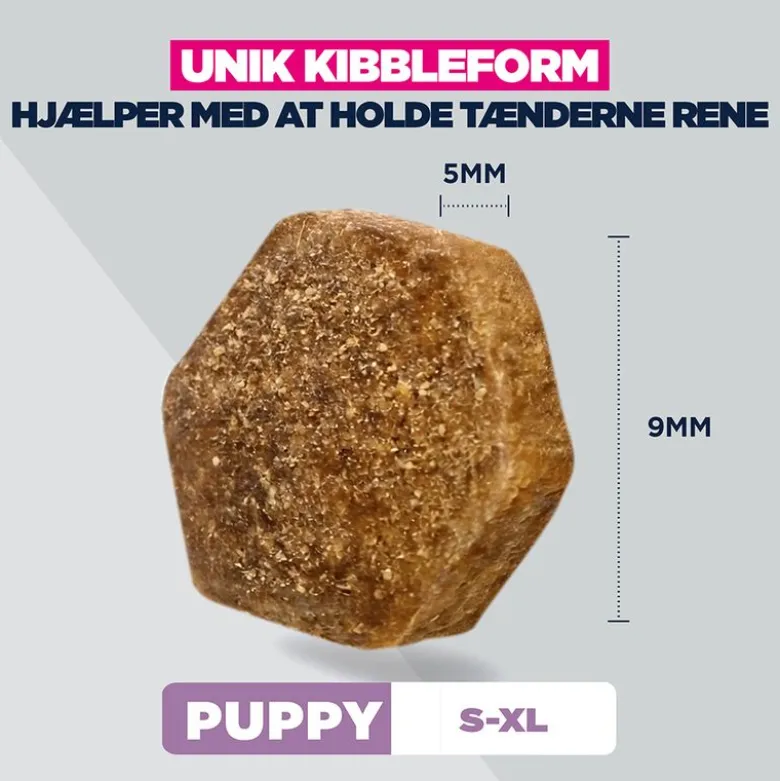 Eukanuba Special Care Sensitive Digestion Puppy med kylling og kalkun