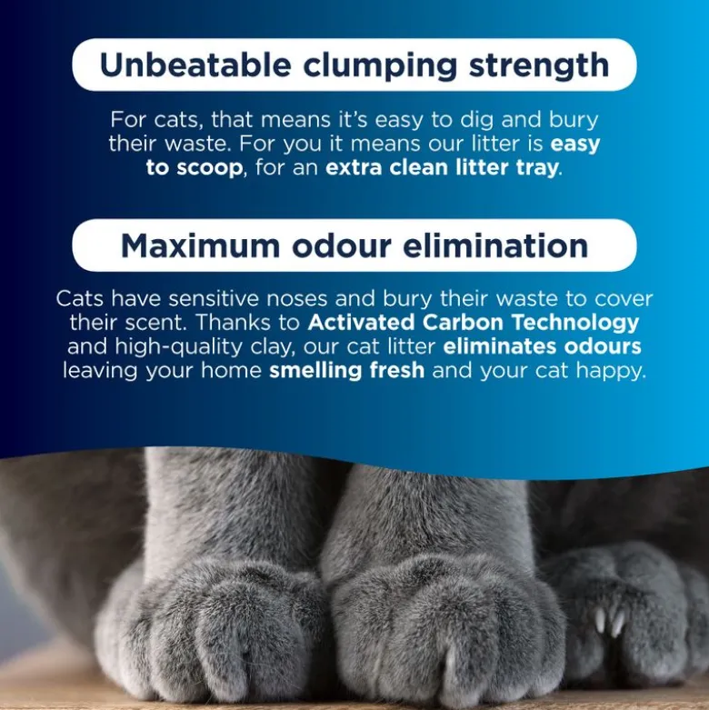 Ever Clean® Spring Garden Clumping