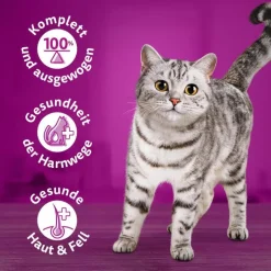 Feline Porta 21 - 6 x 400 g