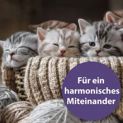 Felisept Family Comfort