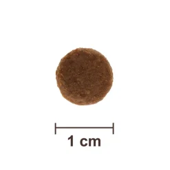 Feringa Adult Single Meat Beef (klassisk oksekød)