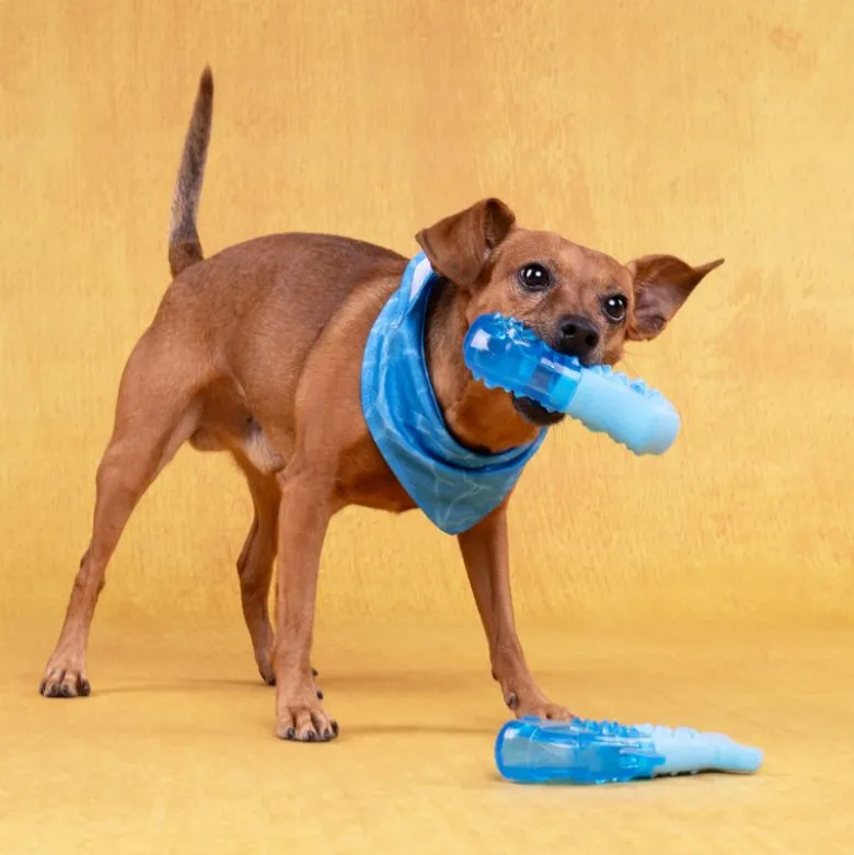 Flamingo hundelegetøj Snowy Bone, blå